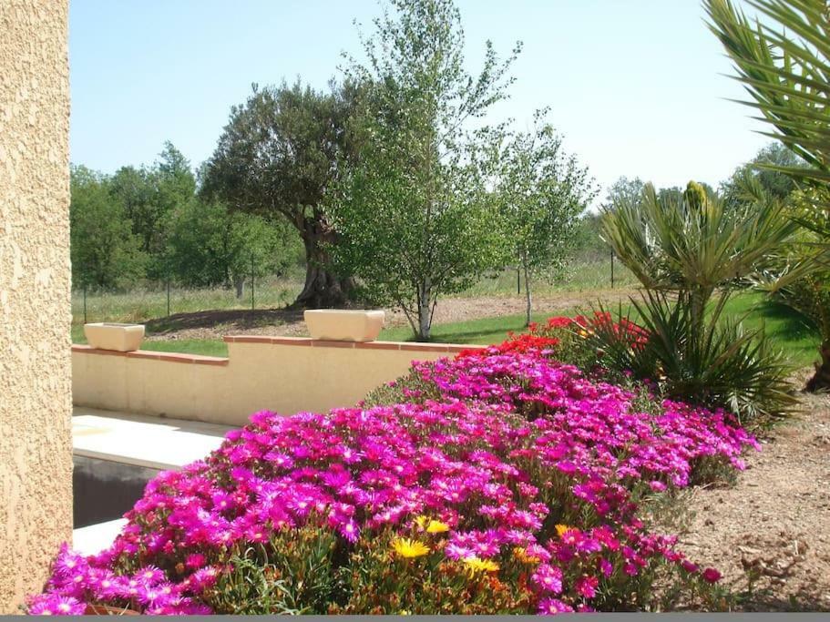 Gite Le Chalet Des Milles Et Un Chemins Castelnou Esterno foto